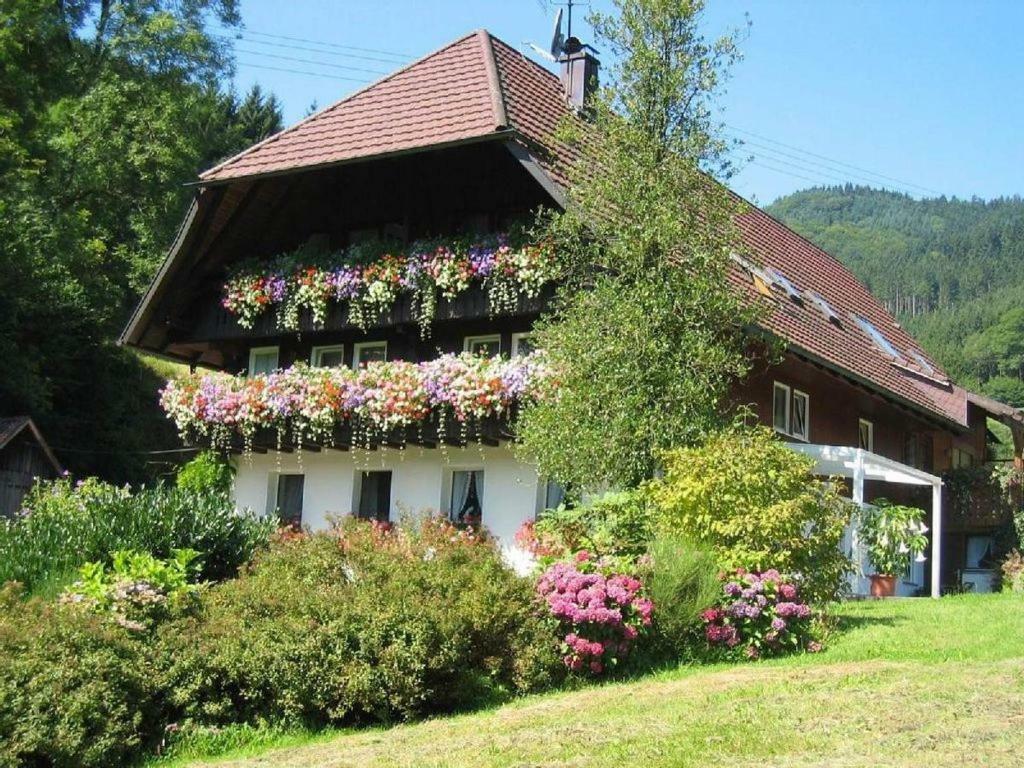古塔赫Haus Schneider公寓 外观 照片